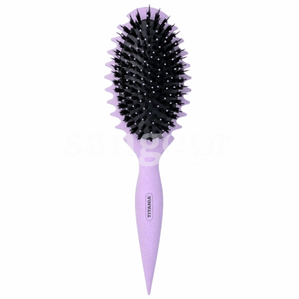 TITANIA BROSSE CHEVEUX REF1318 Prix Tunisie
