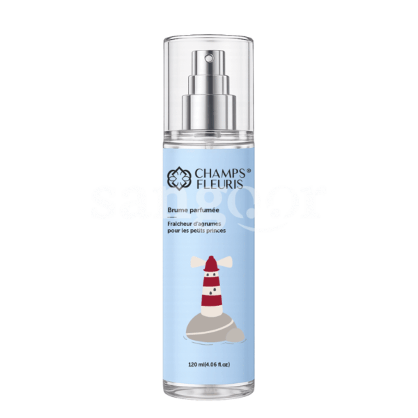 CHAMPS FLEURIS BRUME PARFUMEE 120ML FRACHEUR D ARGUMES PRINCES Prix Tunisie