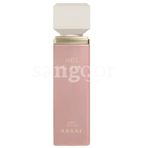ASSAF EAU DE PARFUM 100ML MISS GRIS Prix Tunisie